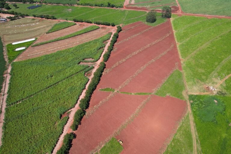 Usina solar fotovoltaica EPC inVolt — UFV SOLEIL: Tecnologia e Precisão da InVolt em Alto Paraná-PR