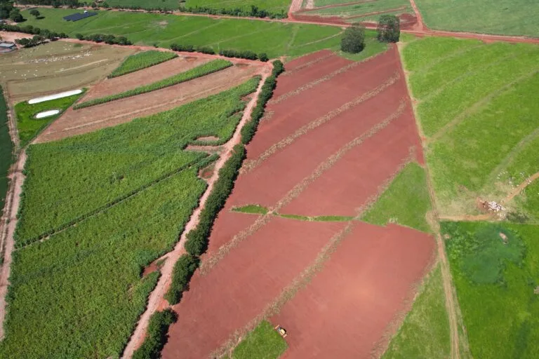 UFV SOLEIL: Tecnologia e Precisão da InVolt em Alto Paraná-PR 4 UFV SOLEIL: Tecnologia e Precisão da InVolt em Alto Paraná-PR